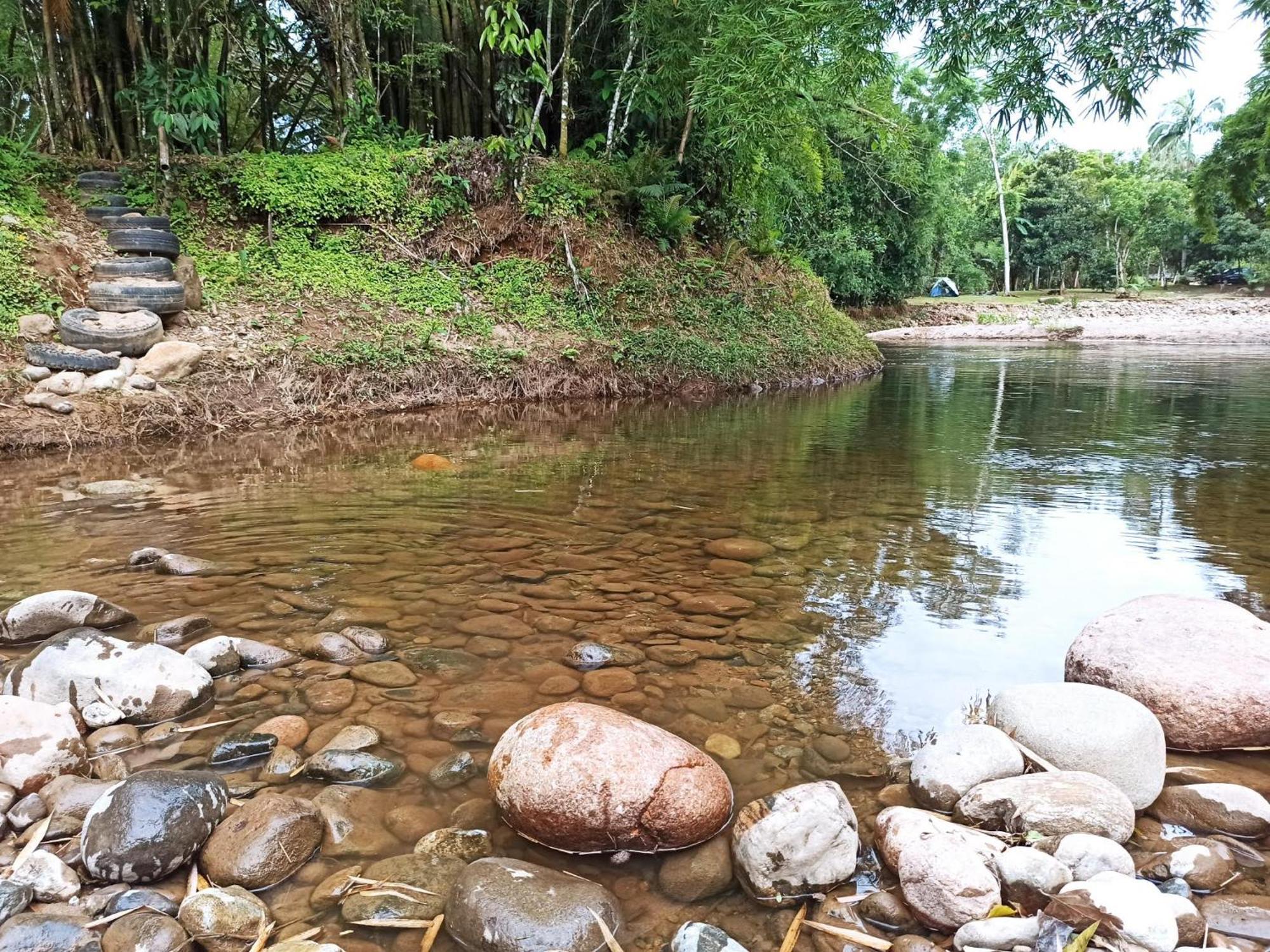 Ecoisa De Chacara - Casa De Vidro, Casa De Campo Morretes Eksteriør bilde